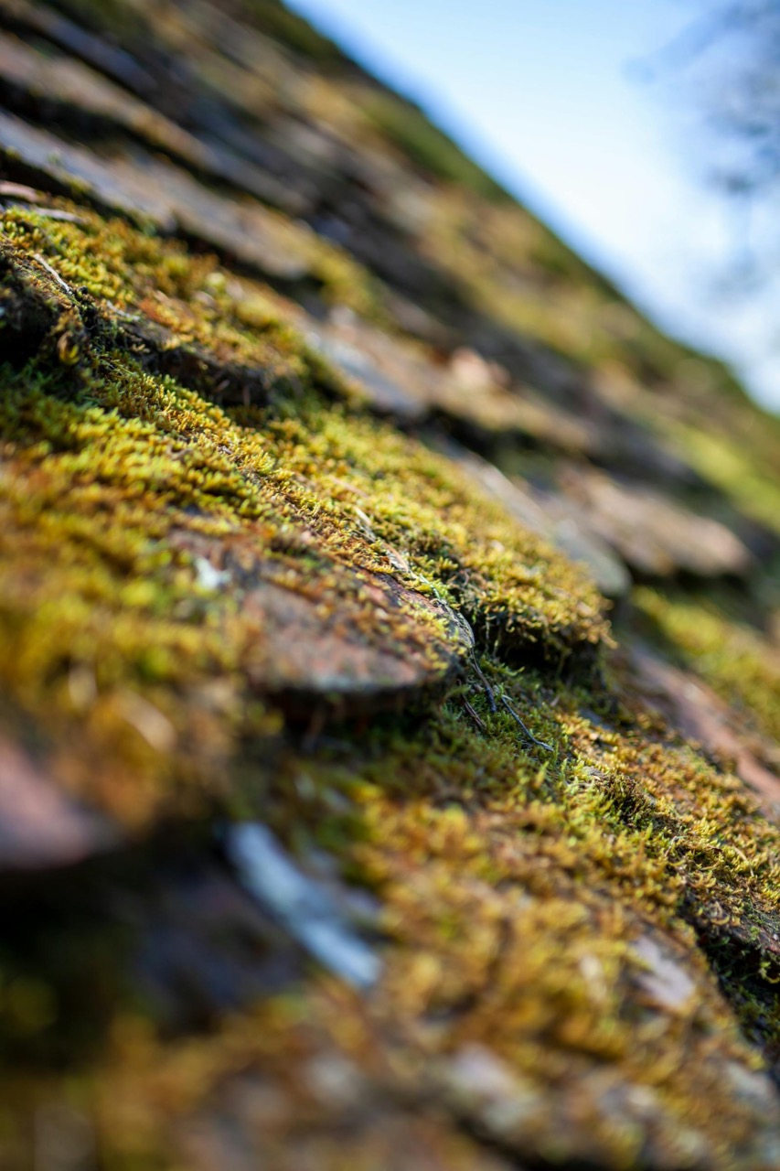 5 Signs Your Roof Is Secretly Destroying Your Home's Value